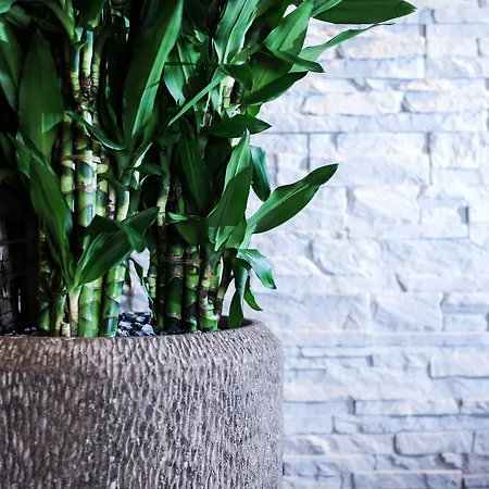 Отель Alte Redaktion