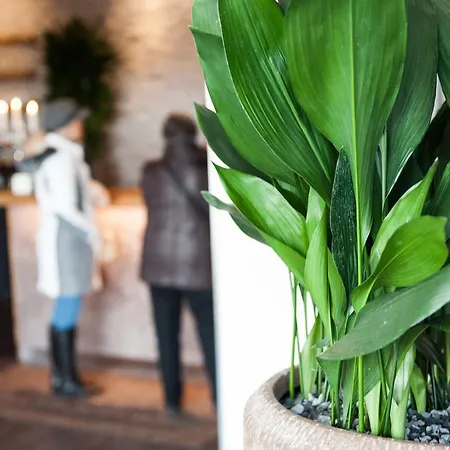 Alte Redaktion Hotel 3*