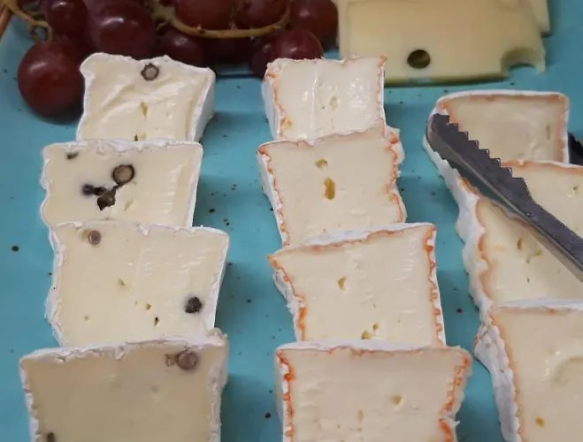 Alte Redaktion 호텔