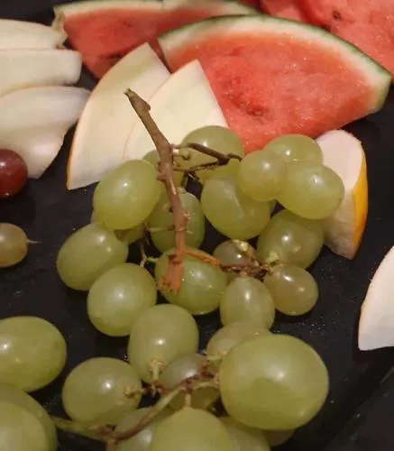 Alte Redaktion 호텔