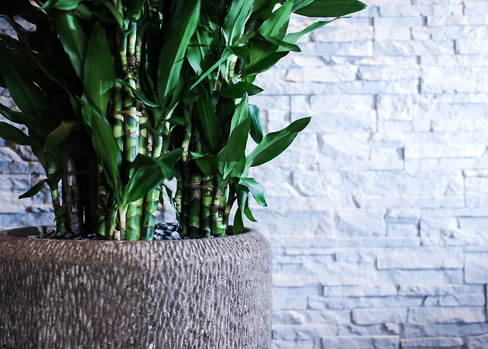 호텔 Alte Redaktion